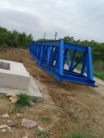 ESTACADĂ CRAIOVA - element metalic albastru pe amplasament